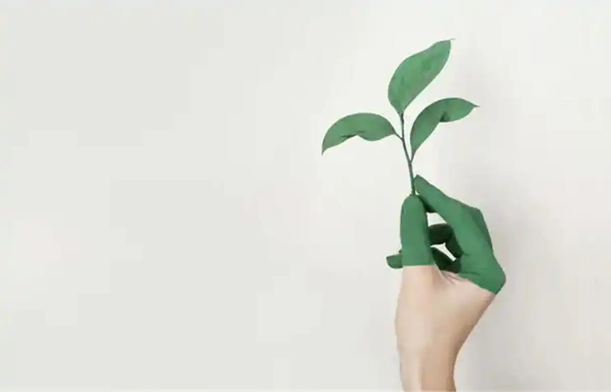 Actualité : Peut-on être éco-responsable en achetant une maison ? Peut-on être éco-responsable en achetant une maison ?