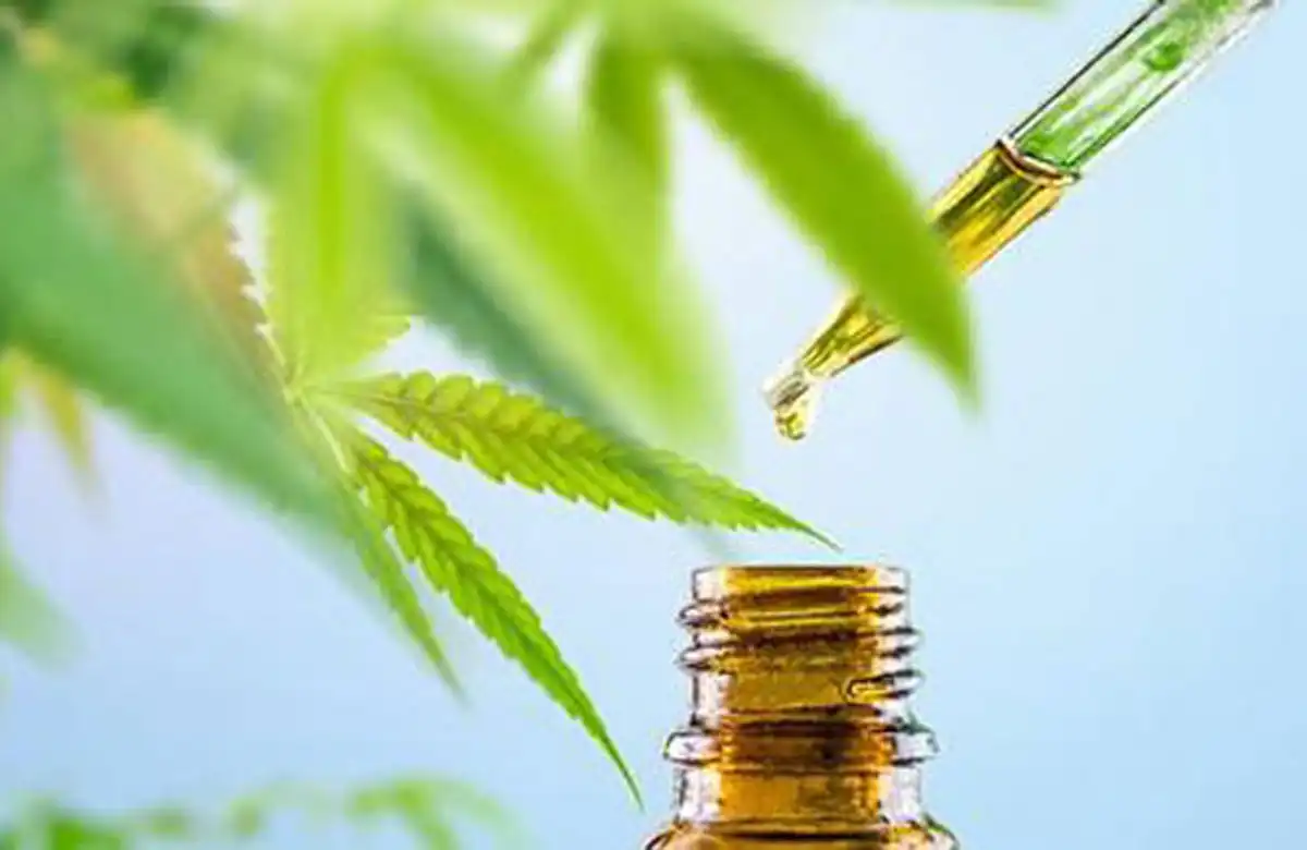 Actualité : Vente de CBD en gros : développement du marché du CBD en Europe Vente de CBD en gros : développement du marché du CBD en Europe