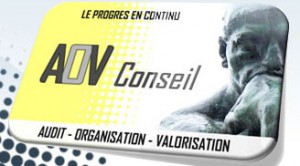 Logo AOV CONSEIL