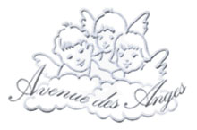 Logo AVENUE DES ANGES
