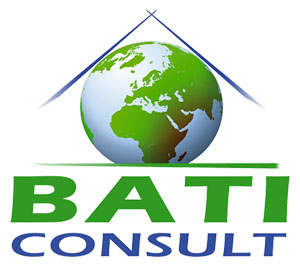 Logo BATICONSULT