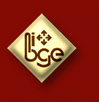 Logo BICEGE SA