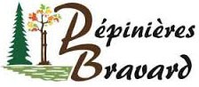 Logo BRAVARD DISTRIBUTION
