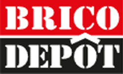 Logo BRICO DEPOT