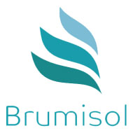 Logo BRUMISOL