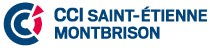 Logo CCI DE SAINT ETIENNE - MONTBRISON