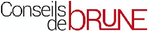 Logo CONSEILS DE BRUNE