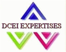 Logo DCEI EXPERTISES