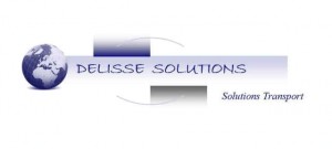 Logo DELISSE SOLUTIONS