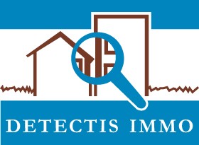 Logo DETECTIS IMMO