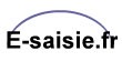 Logo E-SAISIE