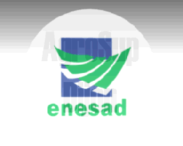 Logo ENESAD