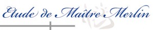 Logo ETUDE MERLIN