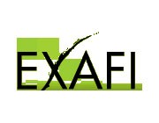 Logo EXAFI EXPERTS