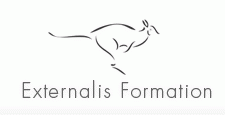 Logo EXTERNALIS FORMATION