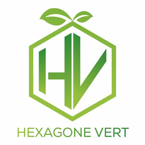 Logo HEXAGONE VERT