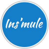 Logo INSIMULE