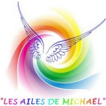 Logo LES AILES DE MICHAEL