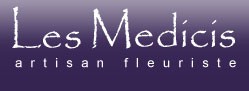 Logo LES MEDICIS