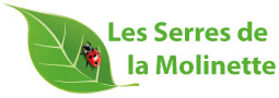 Logo LES SERRES DE LA MOLINETTE