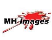 Logo MH IMAGES