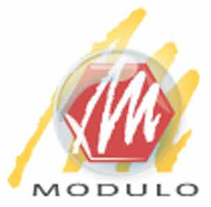 Logo MODULO SYSTEM