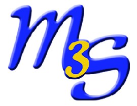 Logo MULTISERVICES DE SALAISE SUR SANNE