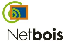 Logo NETBOIS CONSULTING