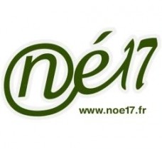 Logo NOE17