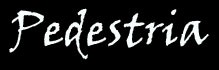 Logo PEDESTRIA