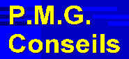 Logo PMGCONSEILS