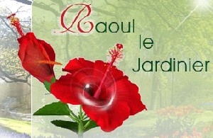 Logo RAOUL LE JARDINIER