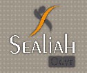 Logo SEALIAH ODYT