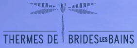 Logo SET BRIDES