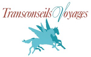 Logo TRANSCONSEILS