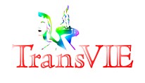 Logo TRANSVIE
