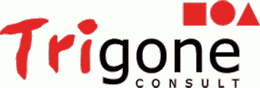 Logo TRIGONE CONSULT